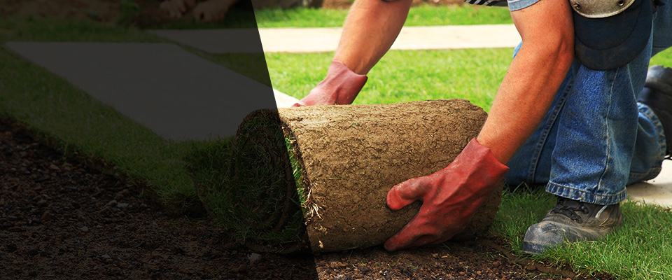 Gardnerville Landscapers